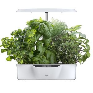 AC240V Hydroponic Growing System 3.65L Water Tank Full Spectrum LED Panel