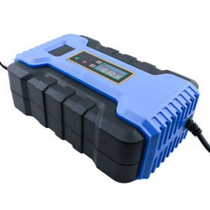 Private Mold 12V 6A Automatic Intelligent Pulse Repair Battery Charger with CE