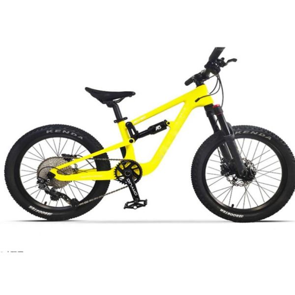 Full Suspension Carbon EPS Technology MTB Mountain Childrens Bikes 20er