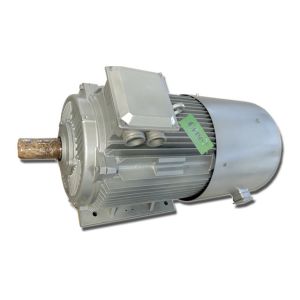 Three Phase Permanent Magnet Generator , Permanent Magnet AC Generator