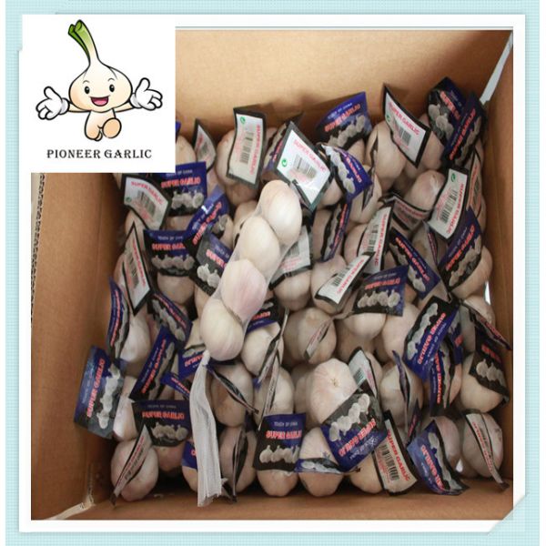 Quality Garlic - Small and Bulk Orders - Contact Us for Free Samples wholesale