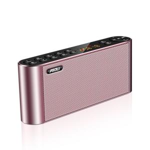 Cheap Bluetooth speaker with the TFcard, voice prompt, call function, dust prevention, radio function for sale