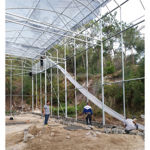 Single Layer PE Ground Cover for IGreen Greenhouse's Steam-Greenhouse Roofing
