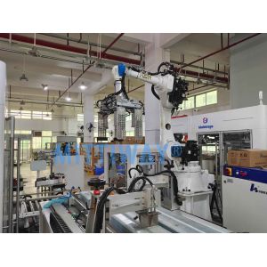Safety Robotic Case Packer Case Packer Machine Operations
