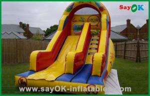 Giant Bouncy Slide Commercial Playground Inflatable Bouncer Slide Plato PVC Air Bounce House Water Slide
