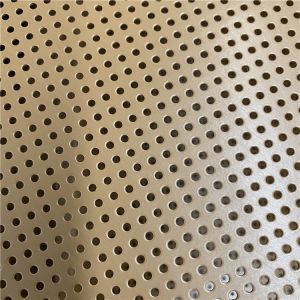 Stainless Steel Perforated Mesh Sheet for Speaker Screen Decoration