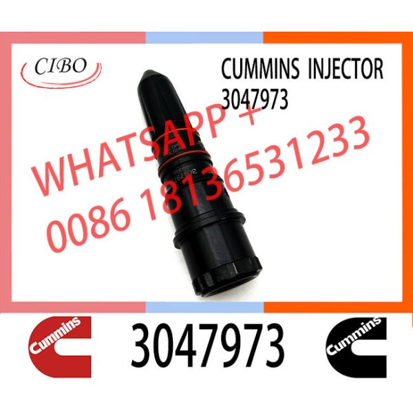 Fuel Injector 3047973 3030445 Diesel Engine Parts for NH/NT855 NT495 NT743 NTA855