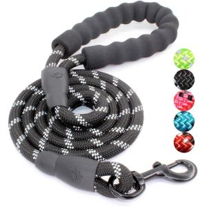 Dog Leash with Comfortable Padded Handle and Highly Reflective Threads for Small