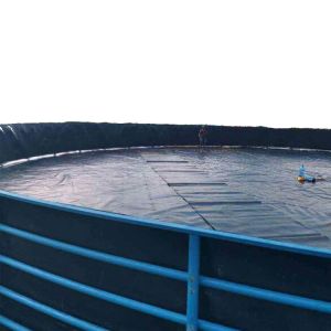 Chinese Geomembrane Impermeable Fish Pond Shrimp Pond Cistern Waterproof
