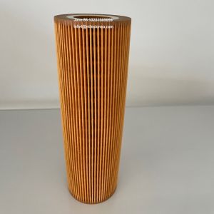 Truck Oil Filter Element 2022275 2037556 HU1077/1X E123HD194 LF17486