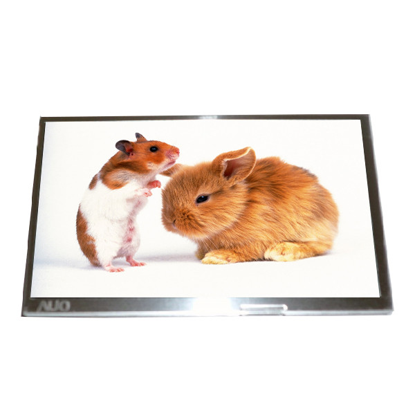 Quality New 7.0 inch C070FW02 V0 TFT Specific Analog RGB 30 pins LCD Module wholesale