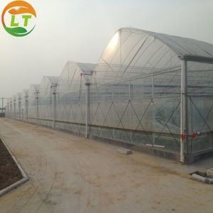 Single Layer 200 Micro UV Plastic Film Greenhouse for Vegetable Strong and