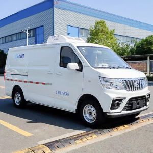 Transport Vegetables and Meat with Our 4L Engine Capacity Customized Refrigerate