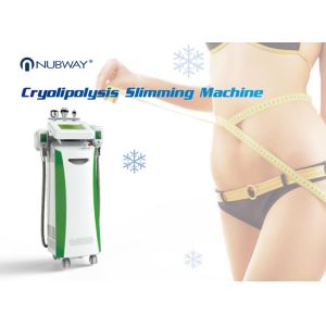 Cheap Fat Freezing Cryolipolysis Slimming Machine With Two Handles For Belly Treatment two handles work together for sale