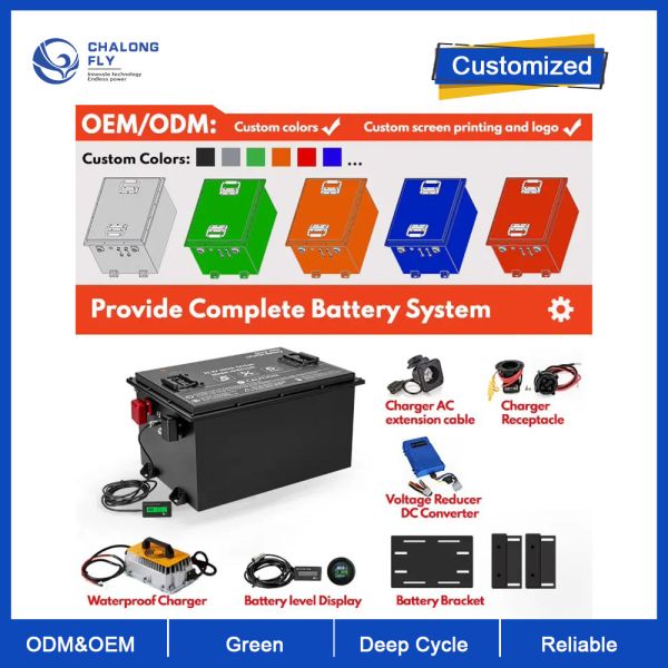 OEM ODM LiFePO4 For Customized Golf Cart Lithium Battery Pack Lithium Ion