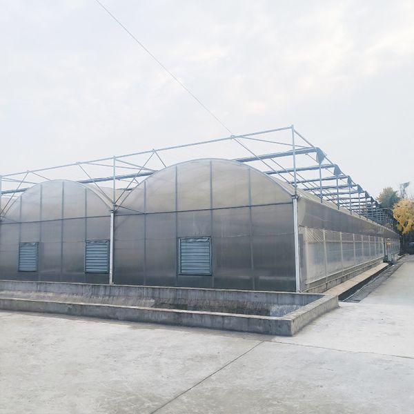 Quality Vegetables Multi-span PE Film Plastic Greenhouse With Optional Cooling And Irrigation Systems wholesale
