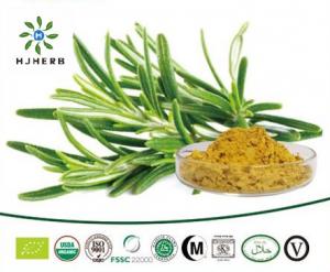 China Safety Food Grade Ursolic Acid 98% Rosemary Extract Powder on sale