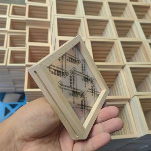 Creative Solid Wood and Acrylic Double-Sided Plant Specimen Transparent Frame