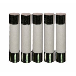 5*20 Time Lag Ceramic Cartridge Fuse For Supplementary Protection RoHS Compliant