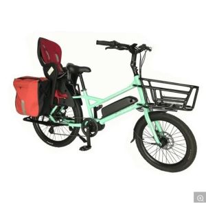 Road Occasion 20 Inch 350W 5PAS 7 Speed Ananda Bafang MID Drive Electirc Bike