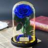 Buy cheap Long life Glass Cover Preserved Real Fresh Forever Rose in Glass from wholesalers