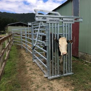 Cheap 32mm Frame Stability Cattle Crushes Cattle Farm Equipment Easy To Clean for sale