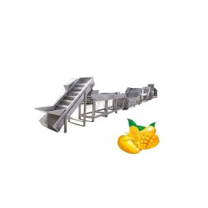 50T/H Industrial Mango Processing Line Automatic Mango Processing Plant