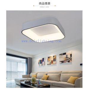 Cheap Circular Graphic Design Lamp Fancy Lights Lighting LED Ceiling for sale