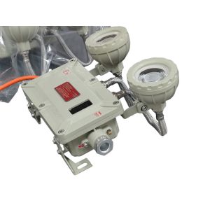 Ceiling Mounted ATEX Flameproof Explosion Proof Emergency Light With Ni-Cd