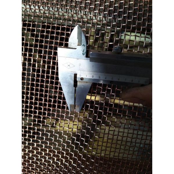 Quality electro galvanized plain weave 8mesh 10 mesh square wire mesh wholesale