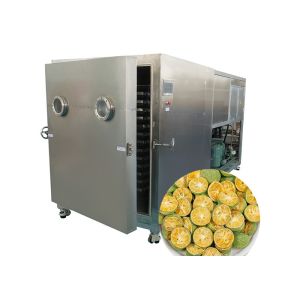 100Kg Food Vegetable Freeze Dryer Bitzer Refrigeration Unit Active
