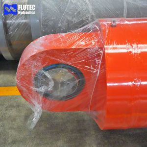 Customized Hydraulic Cylinders To Control Dam Valve Switches China Manufacture