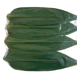 Cheap Make Mouth-Watering Rice Dumplings with Vacuum-Packed Fresh Bamboo Leaves Part Leaf for sale
