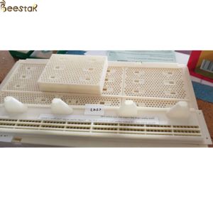 Apiculture Tools Beehive Accessories Queen Bees Storage Box And Beehive Pollen