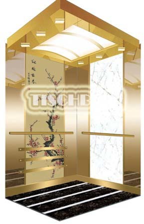 Traction Gearless Machine Passenger Lift 1.75m/s 450kg 630kg 800kg With LCD COP