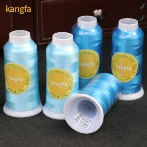 125G 4000 Yard 120d/2 100% Polyester Embroidery Thread for Computerized Sewing