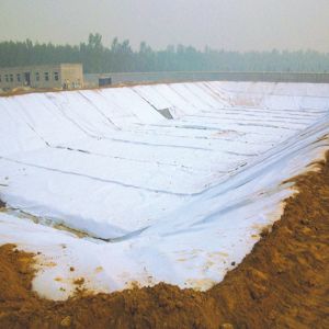 Industrial Geomembranes for Water Channel Dike and Landfill Meeting Customer