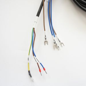 Ring U Shaped Custom Wire Harness Terminal Cable Assembly For Computer