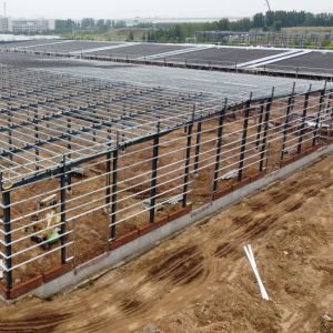 Prefabricated Steel Frame Warehouse Building with H-Section Columns