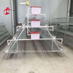 User Friendly Poultry Layer Cage For Hassle Free Poultry Rearing Adela