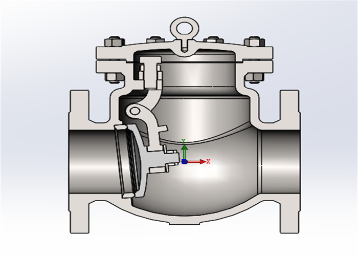 Size 2" Flanged Swing Check Valve On Pipeline Of Reclaimed Water
