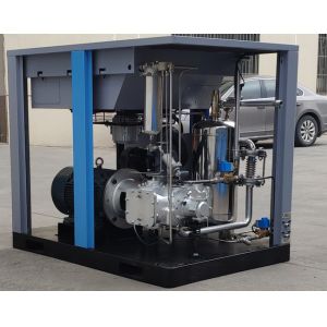 ISO 8573-1 Class 0 Oil Free Screw Compressor for Energy-Saving Projects