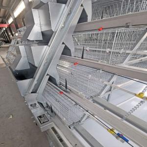 China One Day Old Baby Chick Cage With Full Automatic System on sale