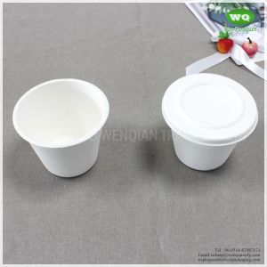 15oz(425ml) Biodegradable Bleached Sugarcane Bagasse Cup With Lid -Easy Green
