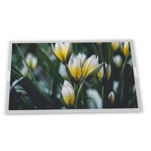 SP10Q010 WLED TFT LCD Display Module 3.8-Inch 320*240 Resolution ODM Suppliers