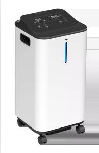 China Double Flow Quiet Portable Oxygen Concentrator 5l O2 Oxygen Generator on sale