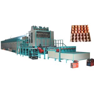 Cheap Fully Automatic Pulp Molding Production Line Bagasse Lunch Box Tableware Machine Wheat Straw Pulp Paper Plate Making machine for sale