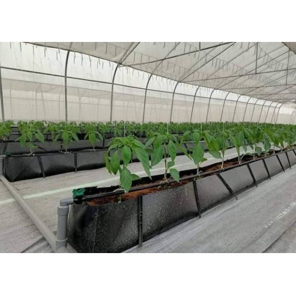 Soilless Growing System PP Growing Trough Colletcing Trough Black Growing Tomatoes Rose Cucumbers