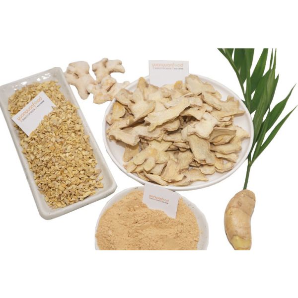 Quality New Crop Air Dried Ginger Powder From Factory Ginger Manufacturer Made Dehydrated wholesale