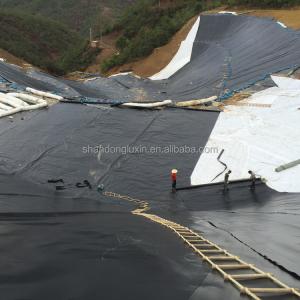 Industrial Design Style Plastic Liners for Farm Earch Dam Lining at Affordable